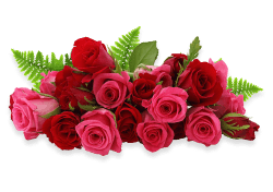 Highlands Flowers Image