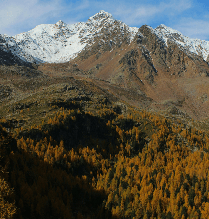Highlands in Autumn